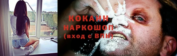 дживик Алексин