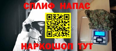 мяу мяу мука Гай