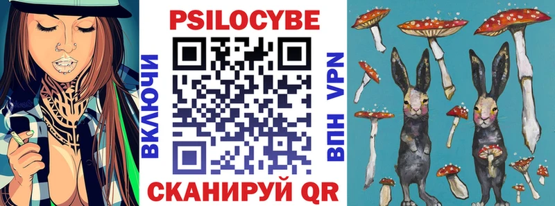 Галлюциногенные грибы прущие грибы  как найти   Пенза 