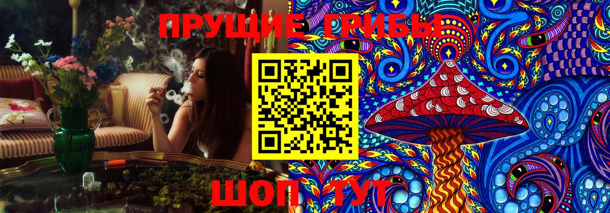 Галлюциногенные грибы Cubensis  Вход с VPN  Пенза  Галлюциногенные грибы Psilocybe 